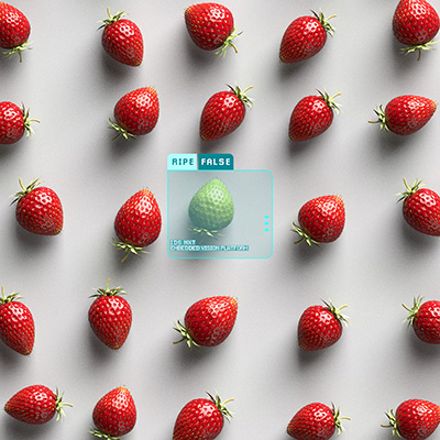 Reifegradbestimmung von Erdbeeren mit der IDS NXT